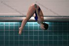 Women's Diving  Wheaton College Women’s Diving vs Mount Holyoke College. - Photo by Keith Nordstrom : Wheaton, Swimming & Diving